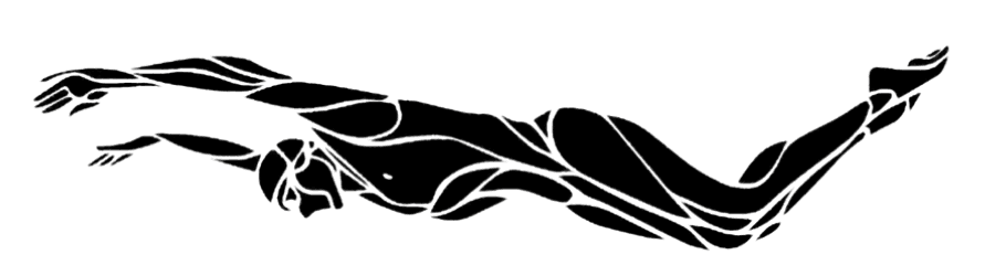 Butterfly Illustration