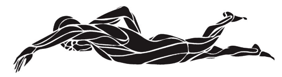 Freestyle (Front Crawl) Illustration